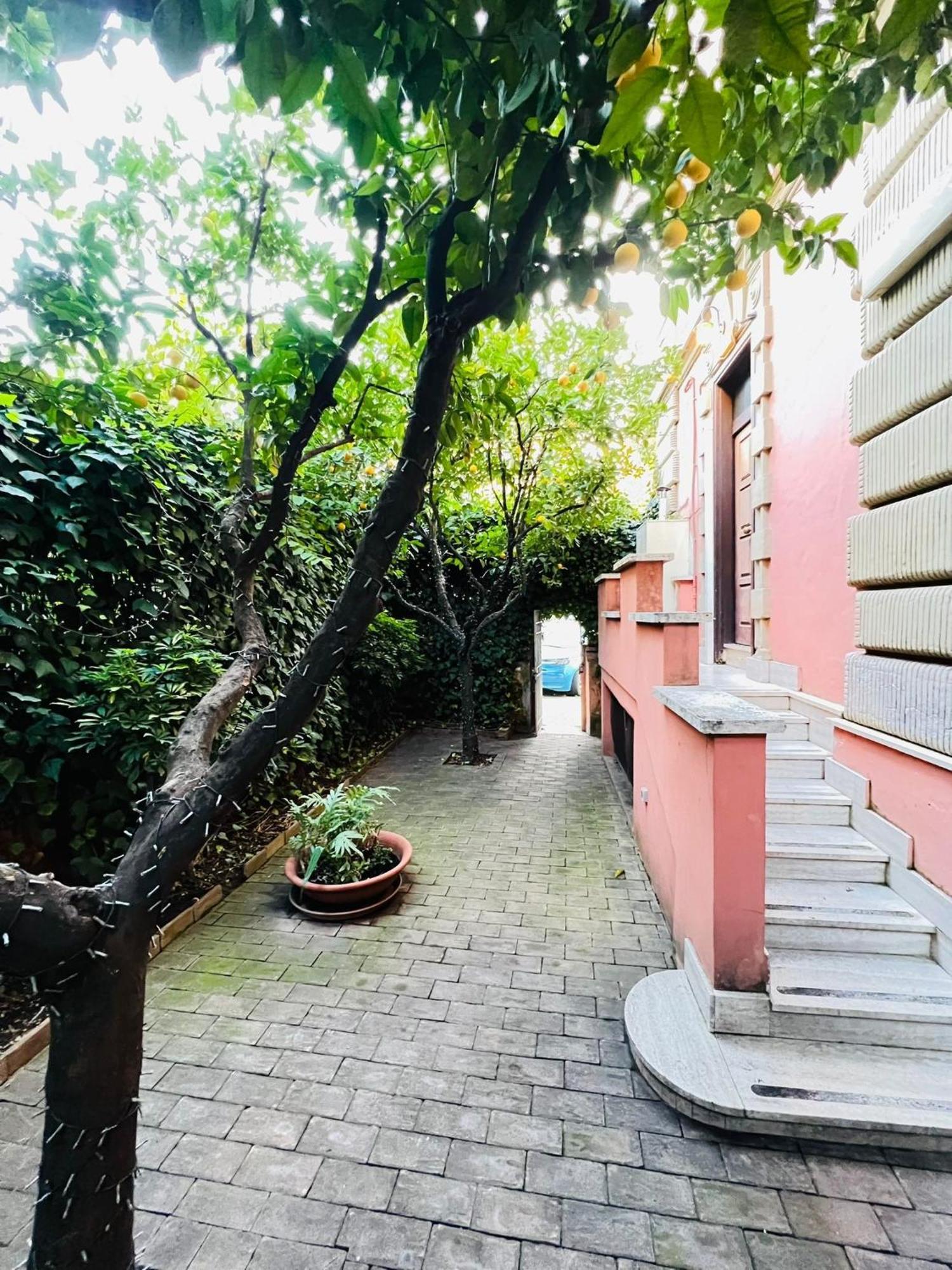 Orange Garden Guest House — Fotos 3